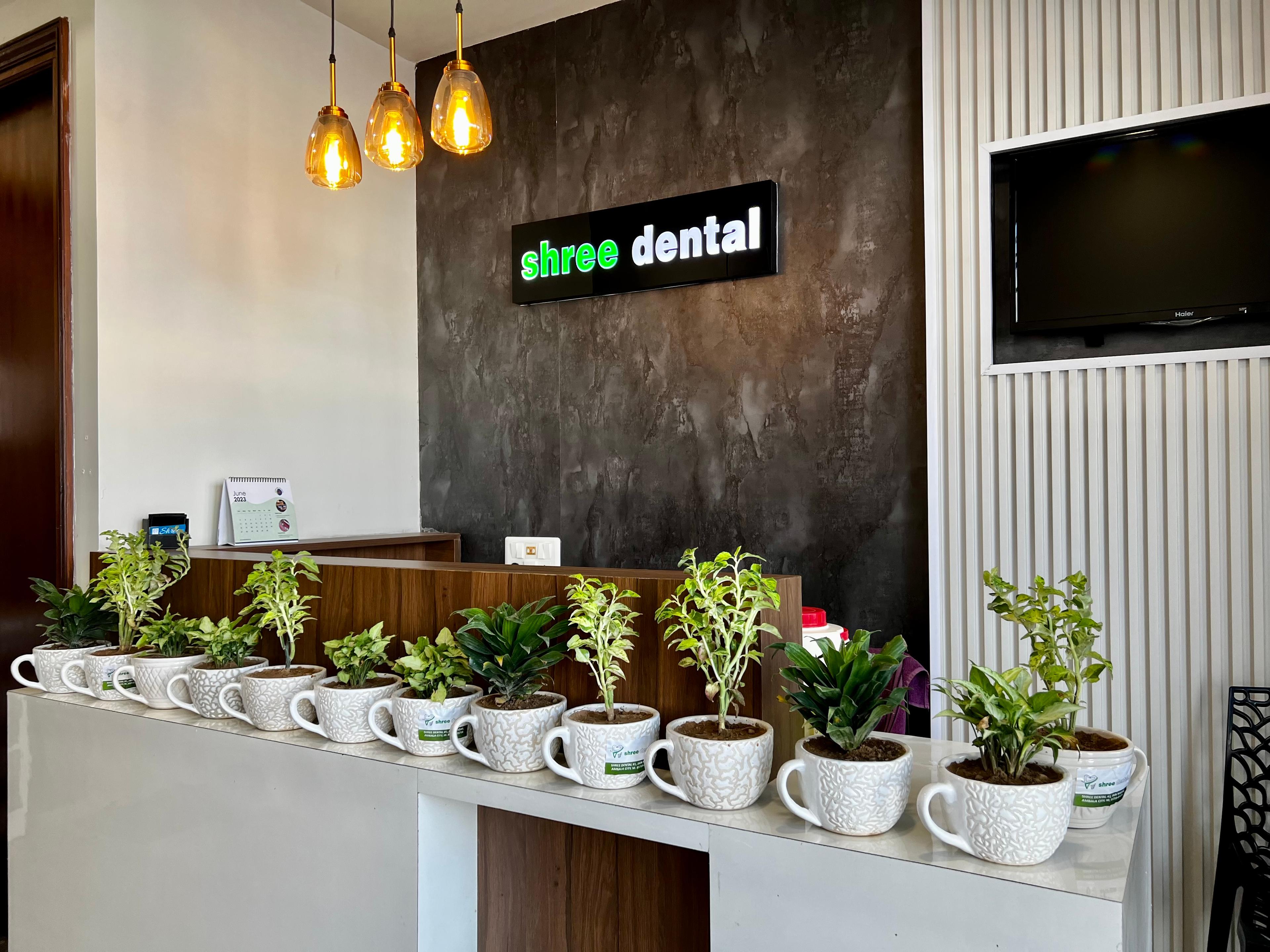 Interior view photo of Shree Dental - Photo 2 at ambala city 134003