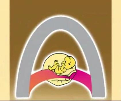 Clinic signage photo of Dr. Harbham Odedra - Photo 1 at porbandar 360575