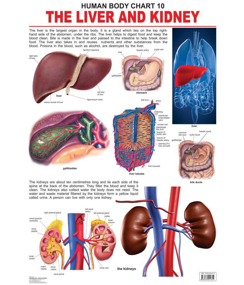 Clinic signage photo of UTKARSH HOSPITAL & MATTERNITY CENTER - Photo 1 at Salempur 274509