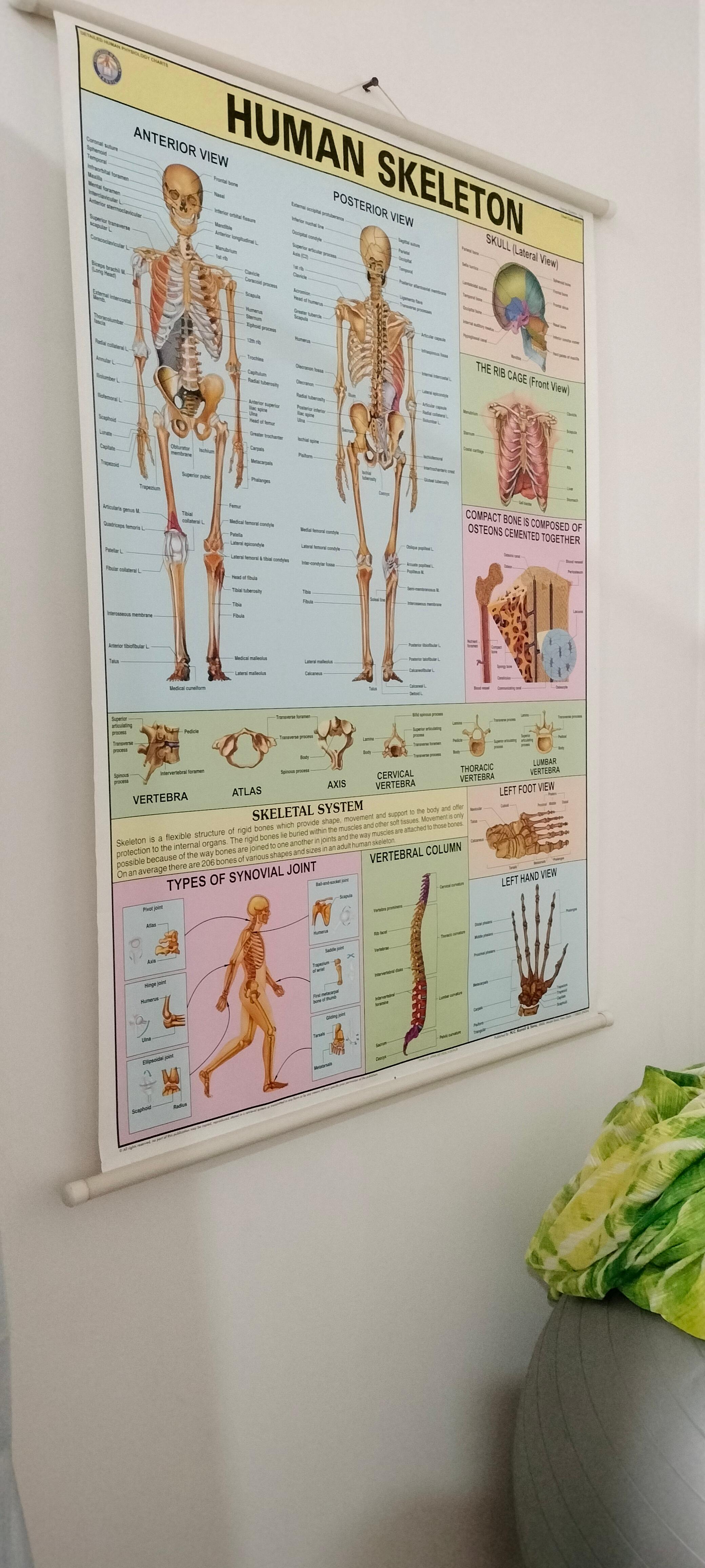 Interior view photo of Dr. Seema's Physiotherapy Centre - Photo 2 at Not Available 462043