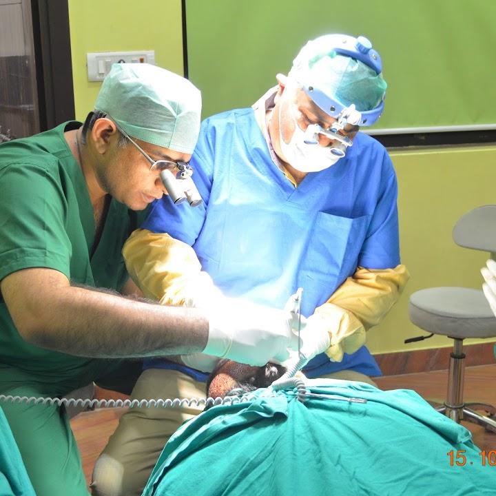 Clinic signage photo of ent and Allergy centre - Photo 1 at panchkula 134113